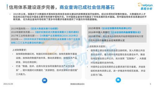 中國商業查詢市場分析2021